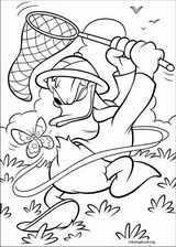 Donald Duck coloring page (049)