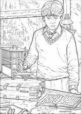 Harry Potter coloring page (055)