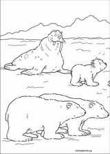 Little Polar Bear coloring page (003)