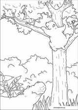 Little Polar Bear coloring page (019)